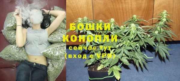 MESCALINE Богородицк